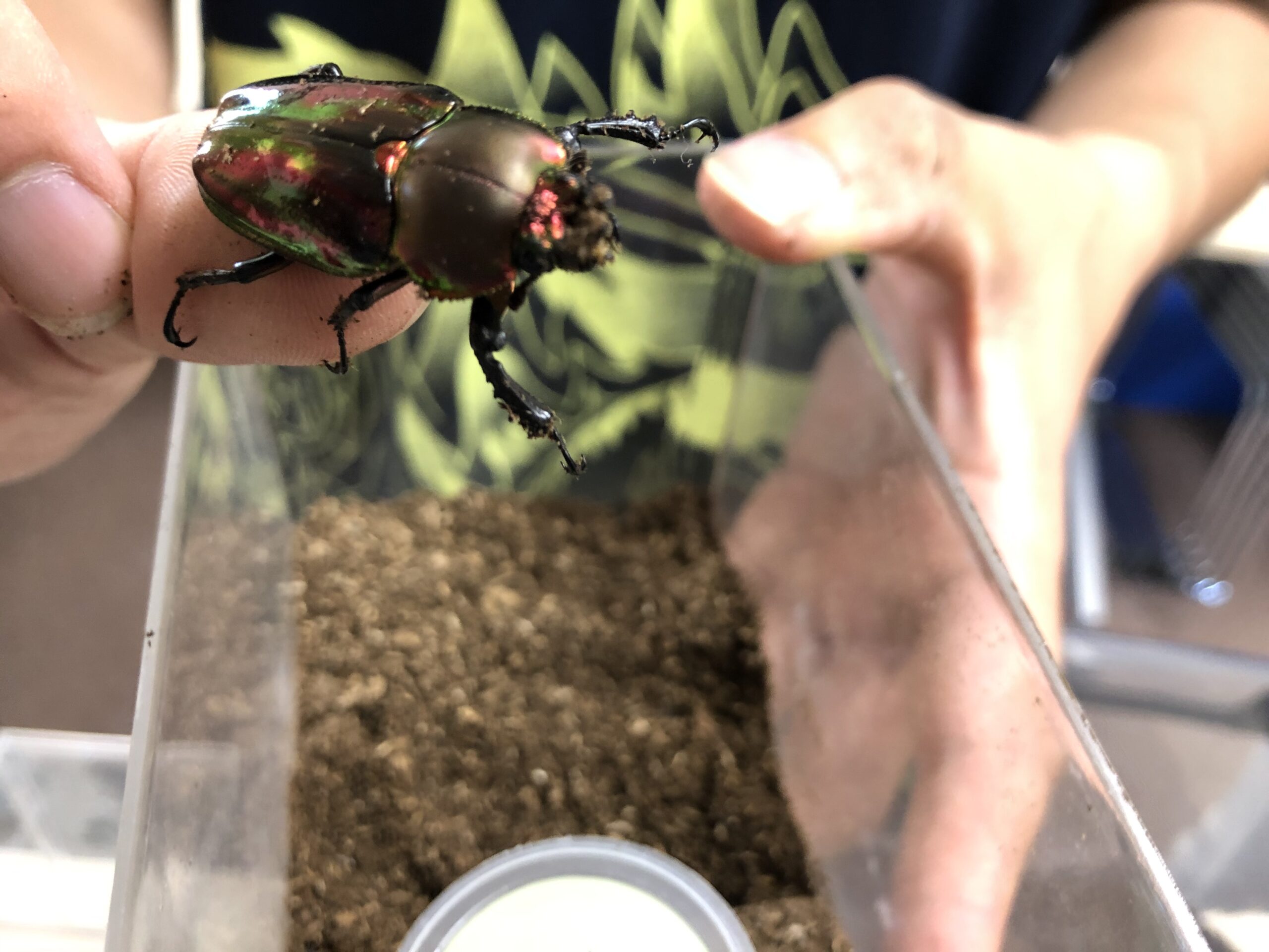 昆虫博士がやってきた！！ ここから未来